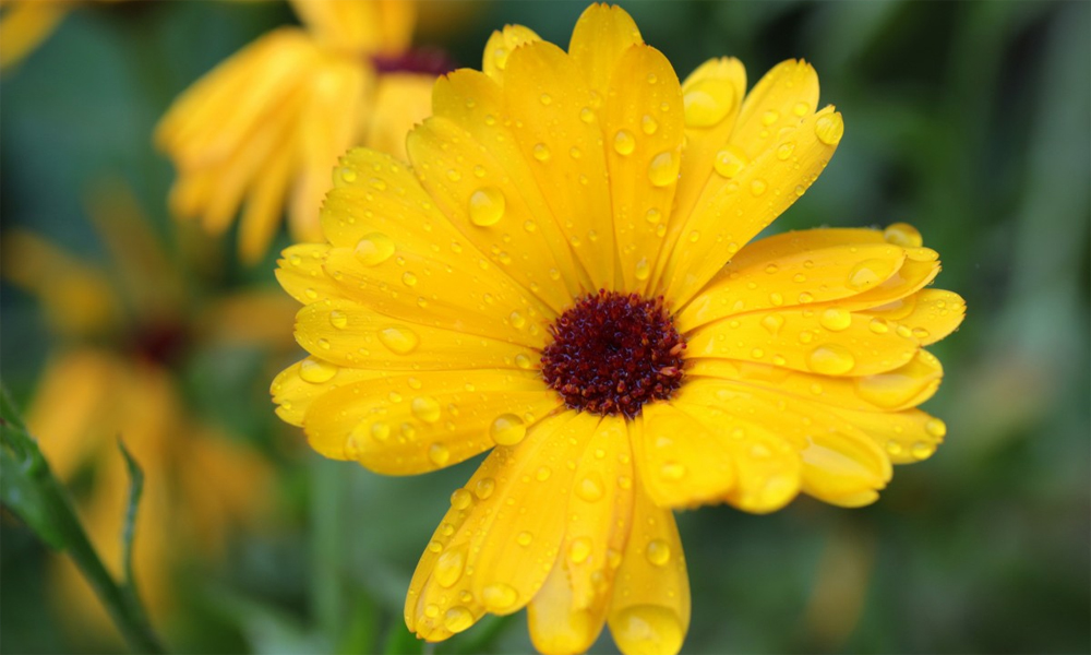 Weather forecast for nighttime 03rd May and full day of 04th May, 2025
